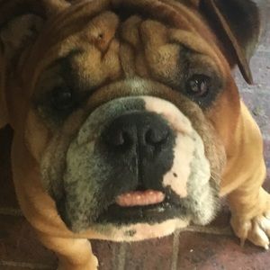 Meet your Posher, Gavin